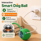 Smart Interactive Rolling Ball for Dogs