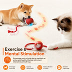 Smart Interactive Rolling Ball for Dogs
