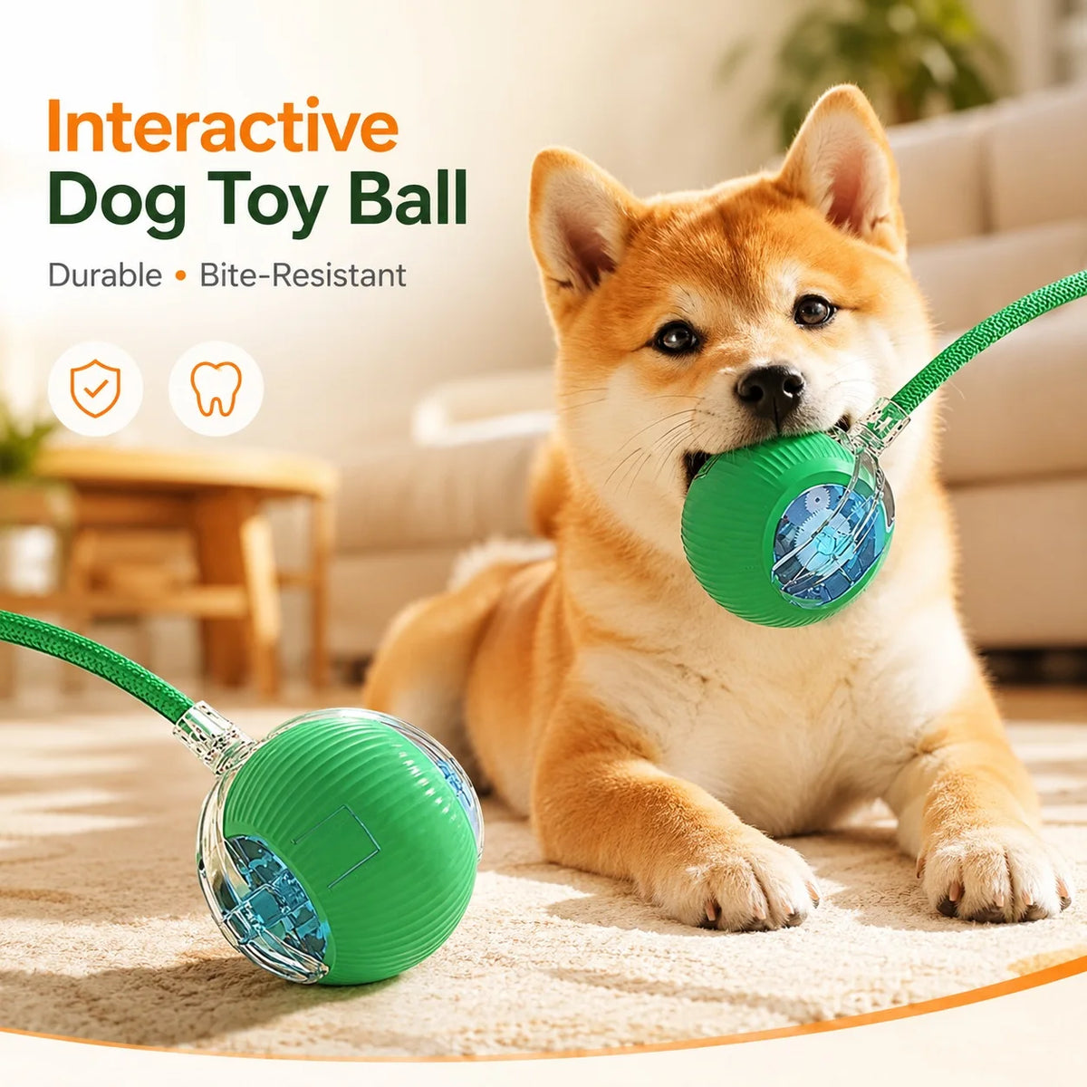 Smart Interactive Rolling Ball for Dogs