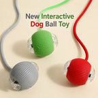 Smart Interactive Rolling Ball for Dogs